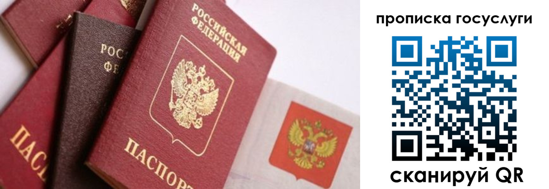 прописка законно в Микуни